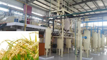 低溫亞臨界流體萃取米糠油工藝 提升農副產品附加值的綠色技術