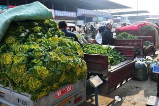 時(shí)代脈搏上的“菜籃子”——我眼中的咸陽新陽光西北農(nóng)副產(chǎn)品交易中心
