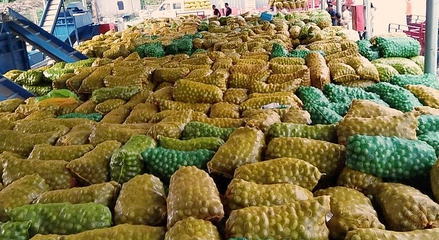 黃龍 探索農(nóng)副產(chǎn)品“鏈?zhǔn)桨l(fā)展”，激活產(chǎn)業(yè)“聚變效應(yīng)”